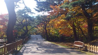 DSC_0037.jpg