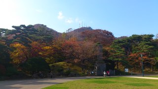 DSC_0038.jpg